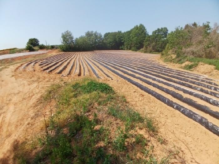 충남 당진시 고대면 대지,임야,전답 경매 물건 사진 4 · 2026타경163
