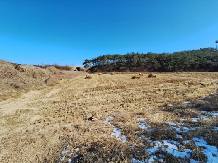 충남 당진시 석문면 전답 경매 물건 사진 4 · 2026타경19