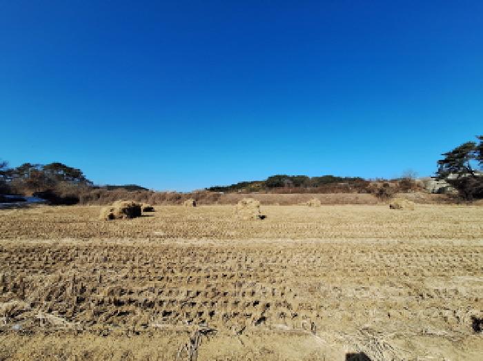 충남 당진시 석문면 전답 경매 물건 사진 5 · 2026타경19