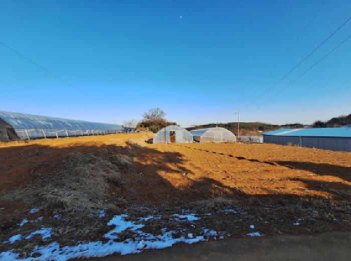 충남 당진시 석문면 전답 경매 물건 사진 6 · 2026타경19