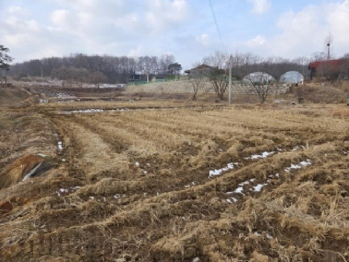 충남 당진시 송악읍 전답 경매 물건 사진 5 · 2026타경21