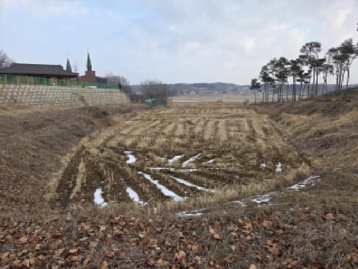 충남 당진시 송악읍 전답 경매 물건 사진 6 · 2026타경21