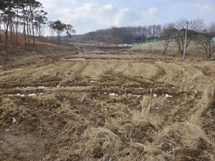 충남 당진시 송악읍 전답 경매 물건 사진