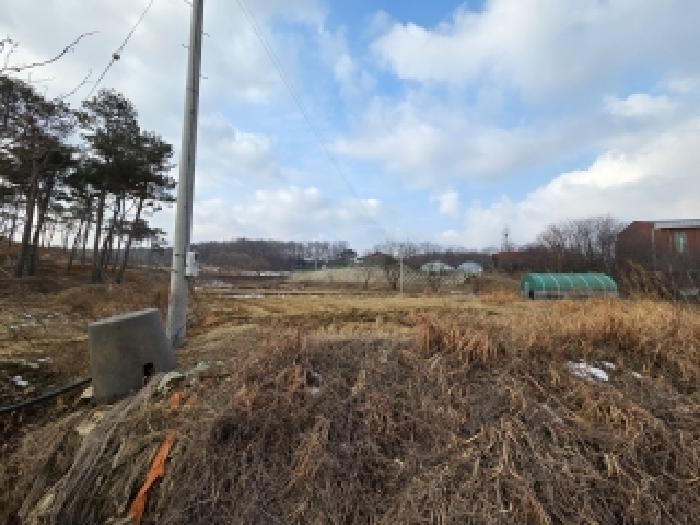 충남 당진시 송악읍 전답 경매 물건 사진 3 · 2026타경21