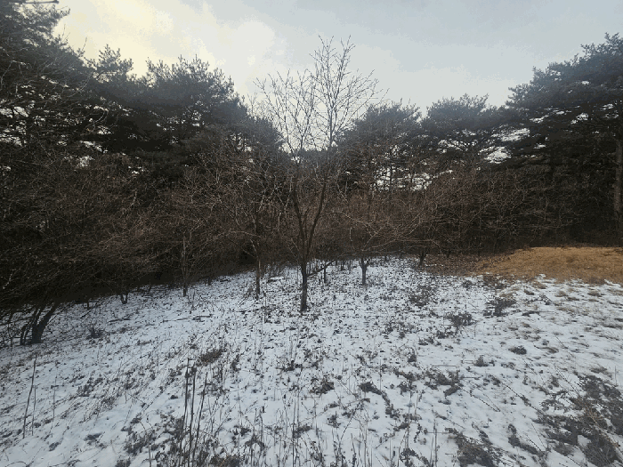 충청남도 서산시 성연면 예덕리 산60 임야 경매 물건 사진