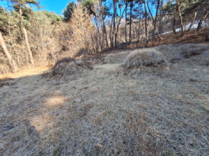 충남 서산시 성연면 임야 경매 물건 사진