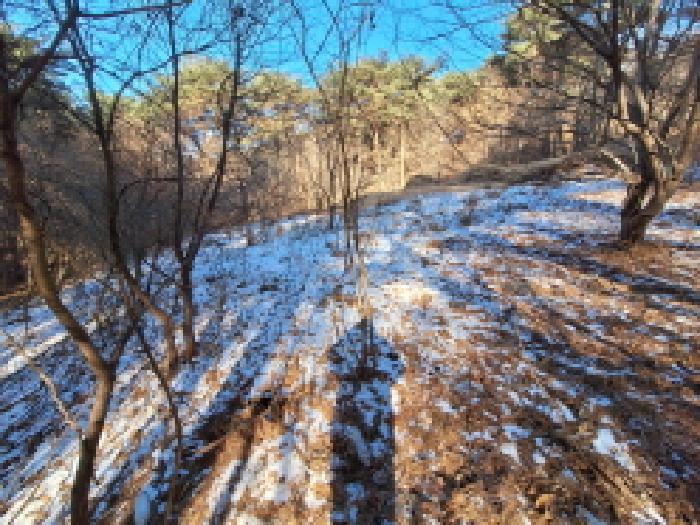 충남 서산시 성연면 임야 경매 물건 사진 3 · 2026타경27