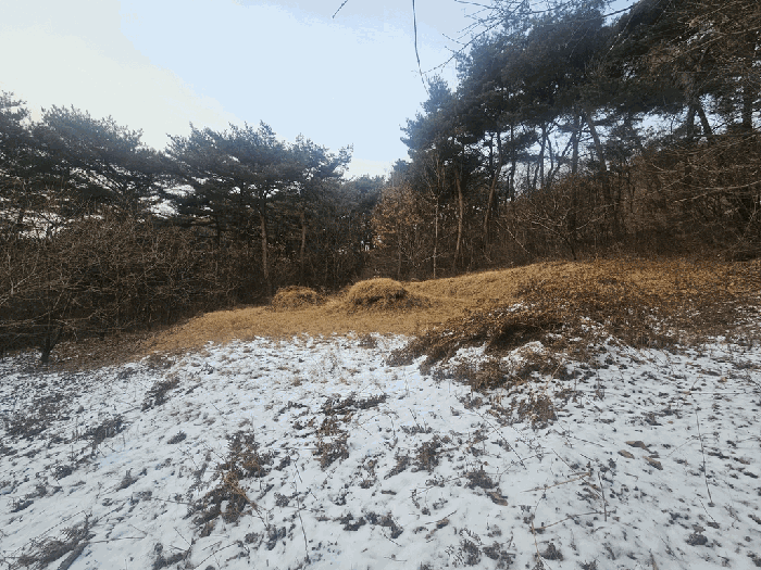 충남 서산시 성연면 임야 경매 물건 사진 4 · 2026타경27
