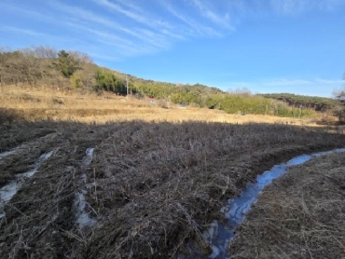 충남 당진시 송산면 전답 경매 물건 사진 3 · 2026타경32