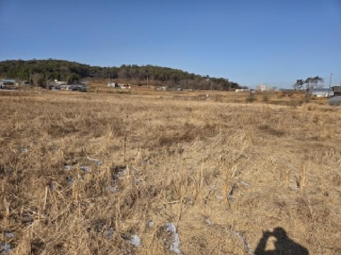 충남 당진시 송악읍 전답 경매 물건 사진