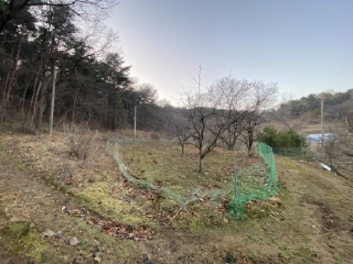 충남 서산시 부석면 임야 경매 물건 사진 3 · 2026타경50003