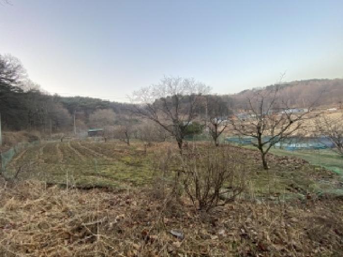 충남 서산시 부석면 임야 경매 물건 사진 4 · 2026타경50003