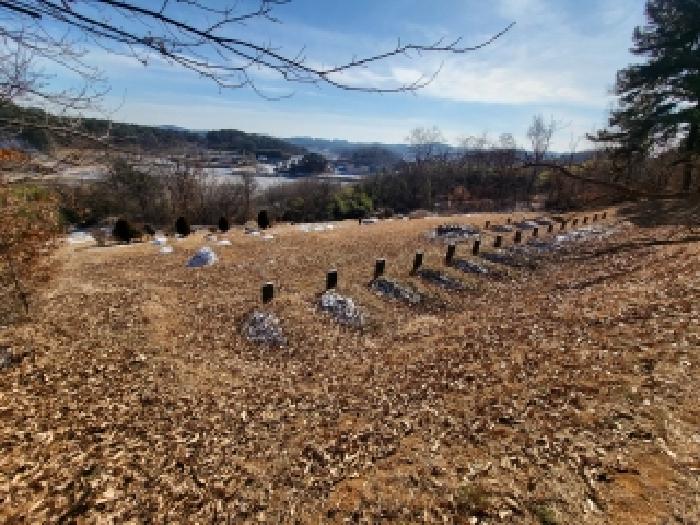 충남 당진시 송산면 임야 경매 물건 사진 4 · 2026타경50006