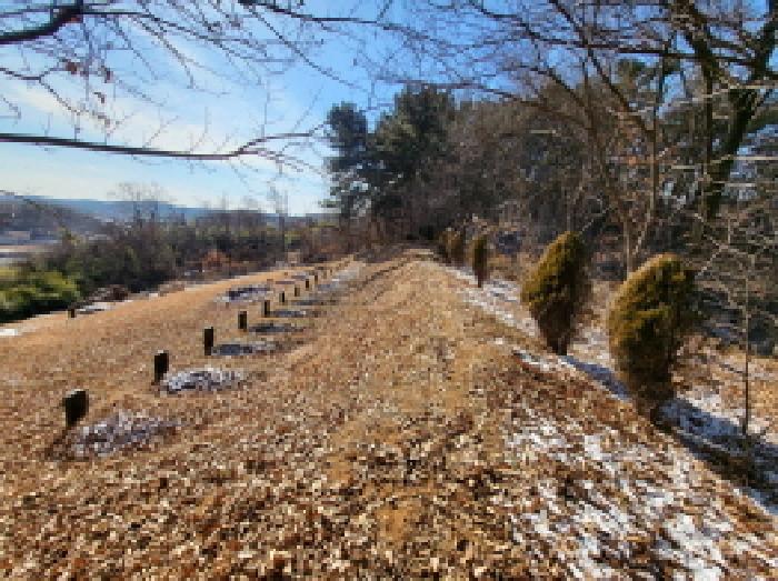 충남 당진시 송산면 임야 경매 물건 사진 5 · 2026타경50006