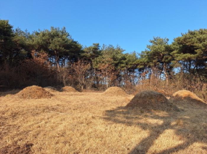 충남 당진시 석문면 과수원 경매 물건 사진 3 · 2026타경50010