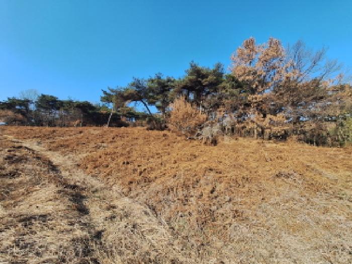 충남 당진시 석문면 과수원 경매 물건 사진 4 · 2026타경50010