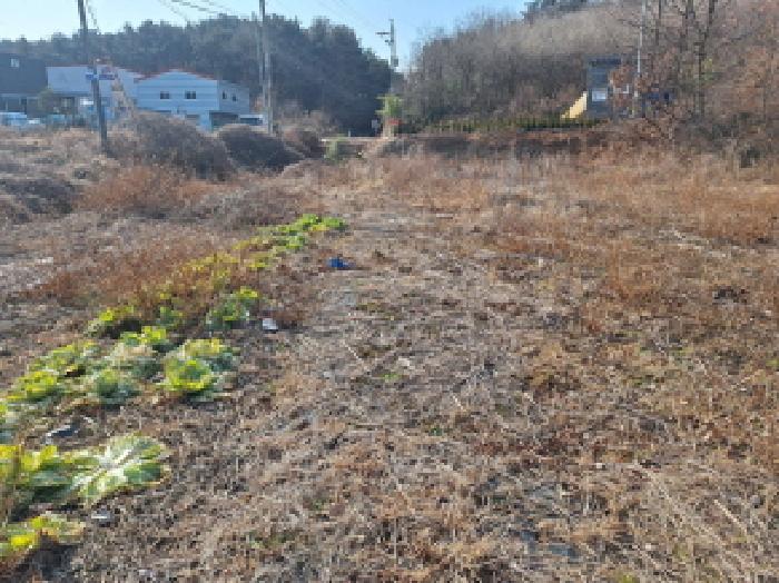 충남 당진시 석문면 과수원 경매 물건 사진 5 · 2026타경50010