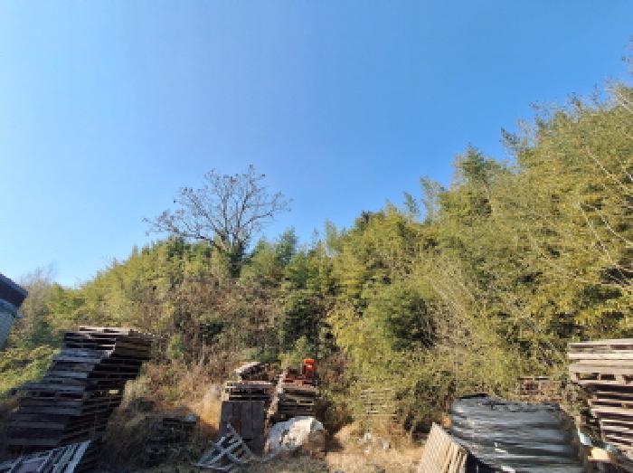 충남 당진시 석문면 과수원 경매 물건 사진 6 · 2026타경50010