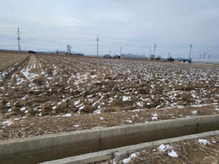 충남 당진시 합덕읍 전답 경매 물건 사진