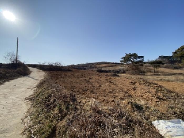 충남 태안군 고남면 전답 경매 물건 사진