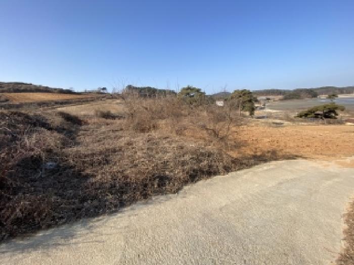 충남 태안군 고남면 전답 경매 물건 사진 3 · 2026타경50027