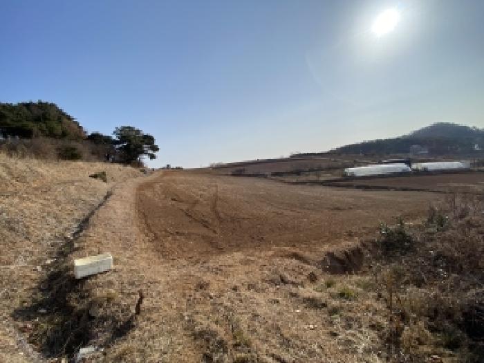 충남 태안군 고남면 대지,임야,전답 경매 물건 사진