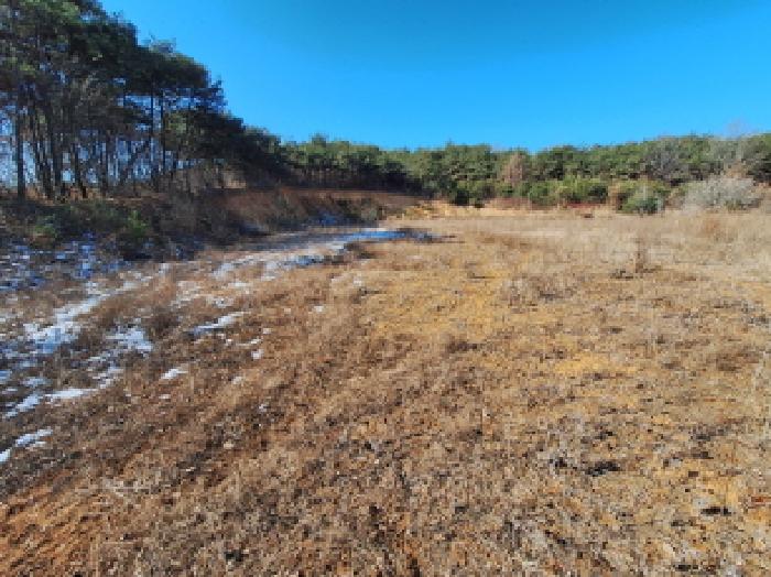 충남 당진시 석문면 임야 경매 물건 사진