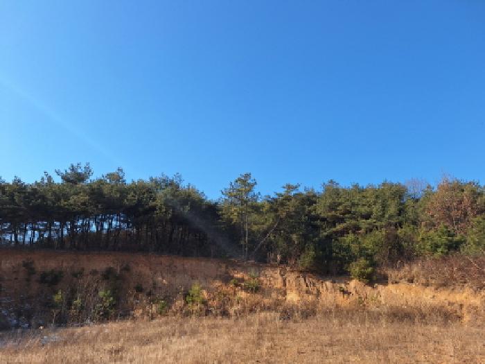 충남 당진시 석문면 임야 경매 물건 사진 2 · 2026타경50033