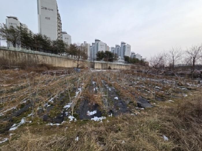 충남 당진시 송악읍 전답 경매 물건 사진 3 · 2026타경50035