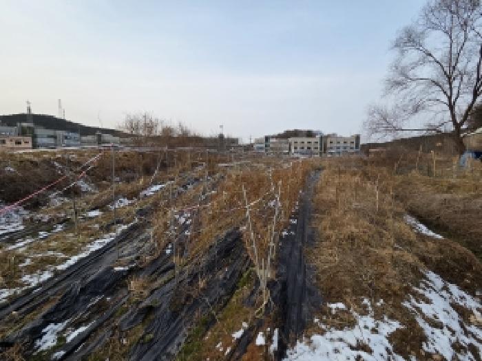 충남 당진시 송악읍 전답 경매 물건 사진 4 · 2026타경50035