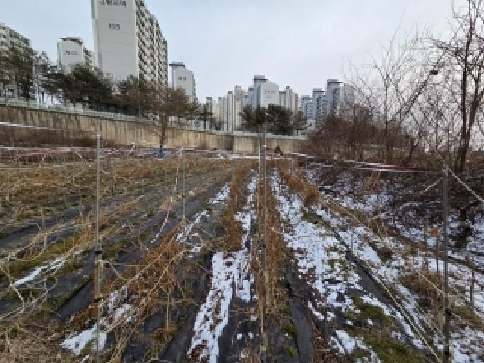 충남 당진시 송악읍 전답 경매 물건 사진 5 · 2026타경50035