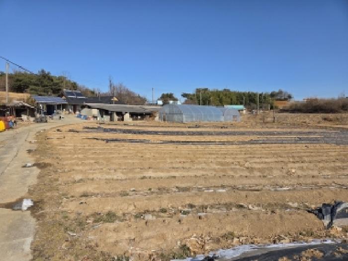 충남 당진시 신평면 동물및식물관련시설 경매 물건 사진 3 · 2026타경50036