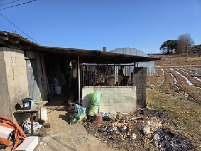 충남 당진시 신평면 동물및식물관련시설 경매 물건 사진 5 · 2026타경50036