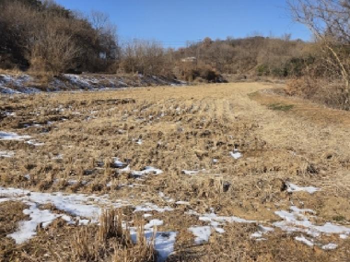 충남 당진시 송악읍 전답 경매 물건 사진 2 · 2026타경50041