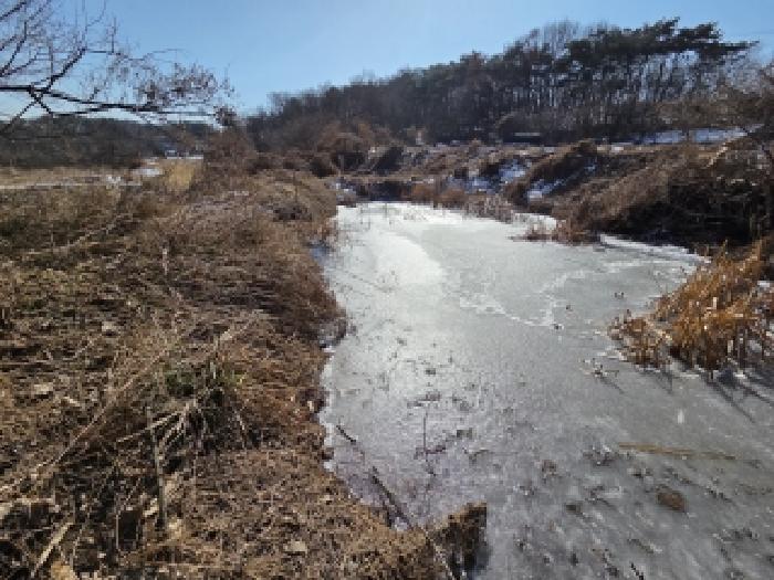 충남 당진시 송악읍 전답 경매 물건 사진 5 · 2026타경50041