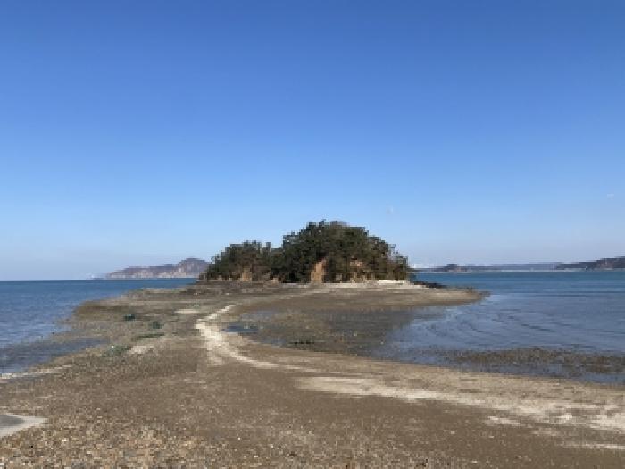 충남 태안군 이원면 임야 경매 물건 사진