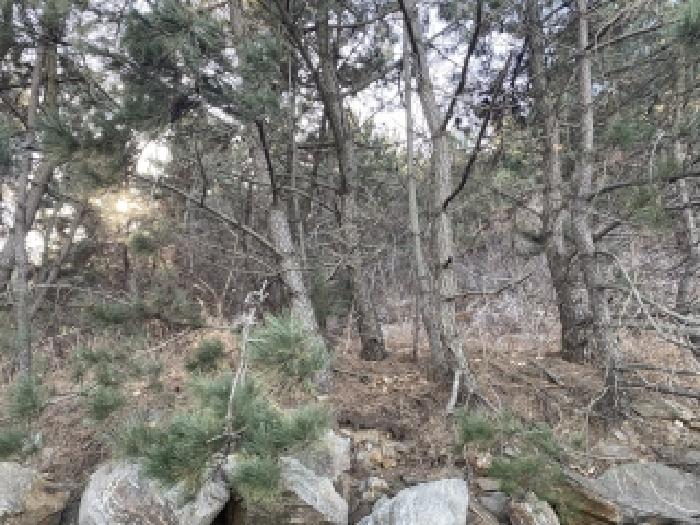 충남 태안군 이원면 임야 경매 물건 사진 3 · 2026타경50046