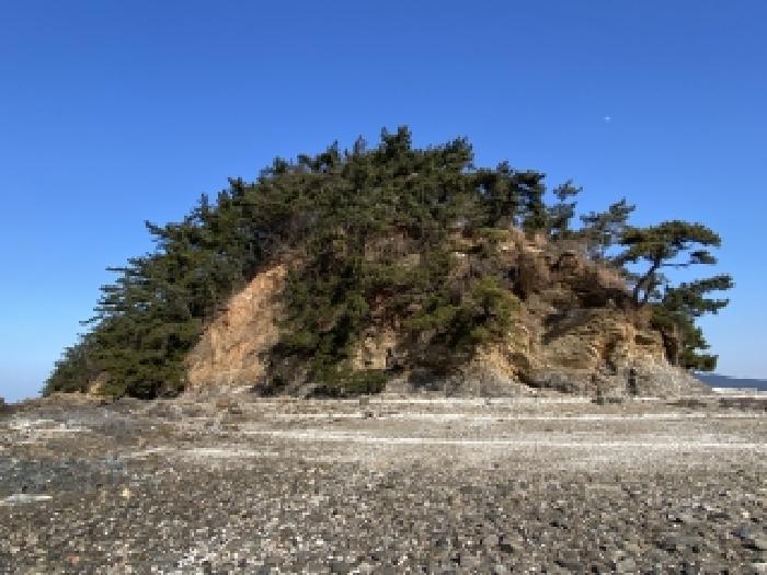 충남 태안군 이원면 임야 경매 물건 사진 4 · 2026타경50046