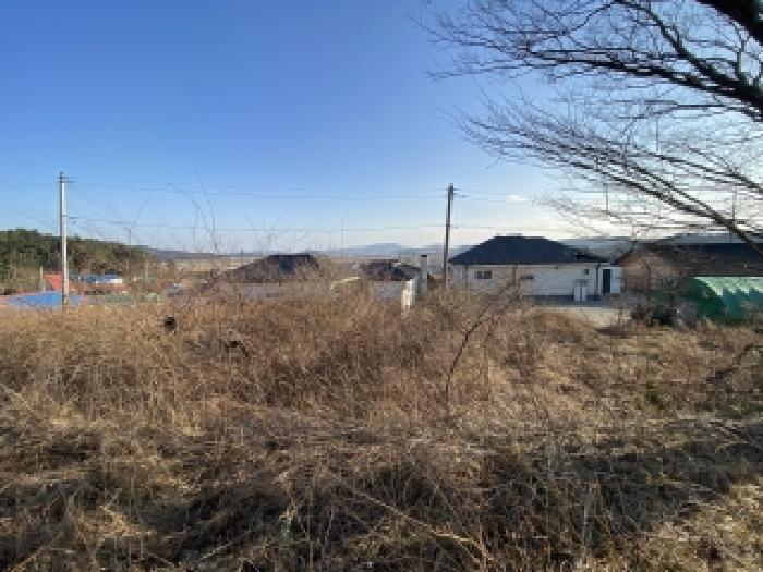 충남 태안군 소원면 전답 경매 물건 사진 2 · 2026타경50052