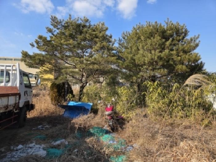 충남 당진시 원당동 전답 경매 물건 사진