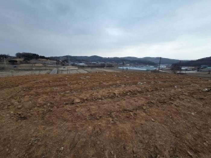 충남 당진시 합덕읍 대지,임야,전답 경매 물건 사진