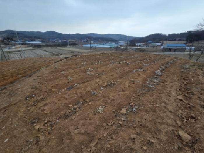 충남 당진시 합덕읍 대지,임야,전답 경매 물건 사진 2 · 2026타경50077