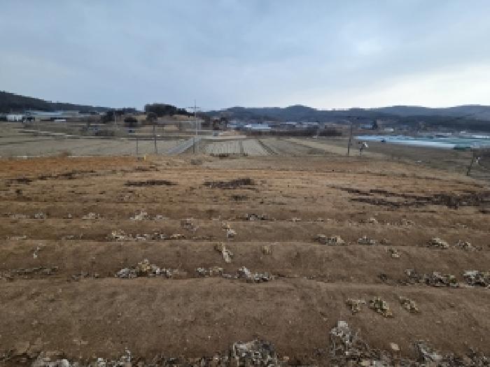 충남 당진시 합덕읍 대지,임야,전답 경매 물건 사진 3 · 2026타경50077