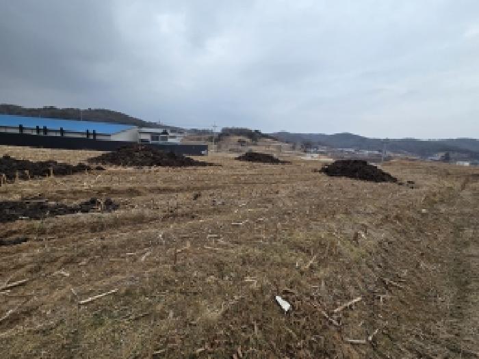 충남 당진시 합덕읍 대지,임야,전답 경매 물건 사진 5 · 2026타경50077