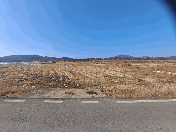충남 서산시 운산면 전답 경매 물건 사진 6 · 2026타경50087