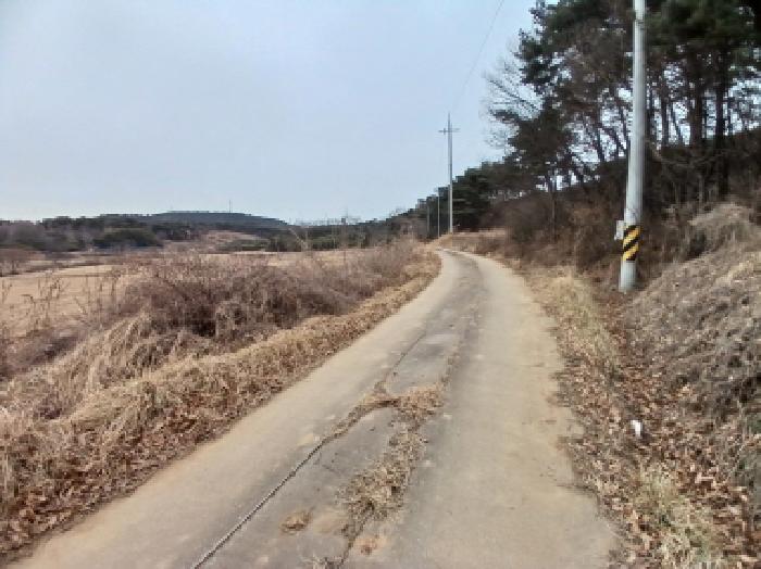 충남 서산시 대산읍 임야 경매 물건 사진 2 · 2026타경50089