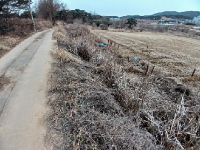 충남 서산시 대산읍 임야 경매 물건 사진 3 · 2026타경50089