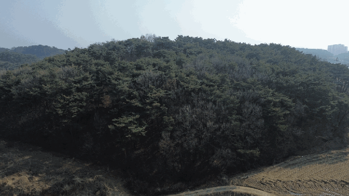 충남 당진시 석문면 임야 경매 물건 사진 4 · 2026타경50112