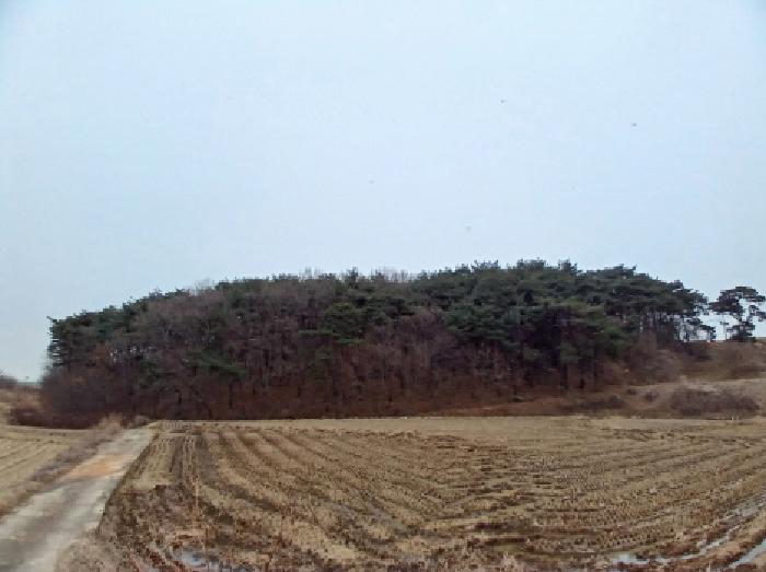 충남 당진시 석문면 임야 경매 물건 사진