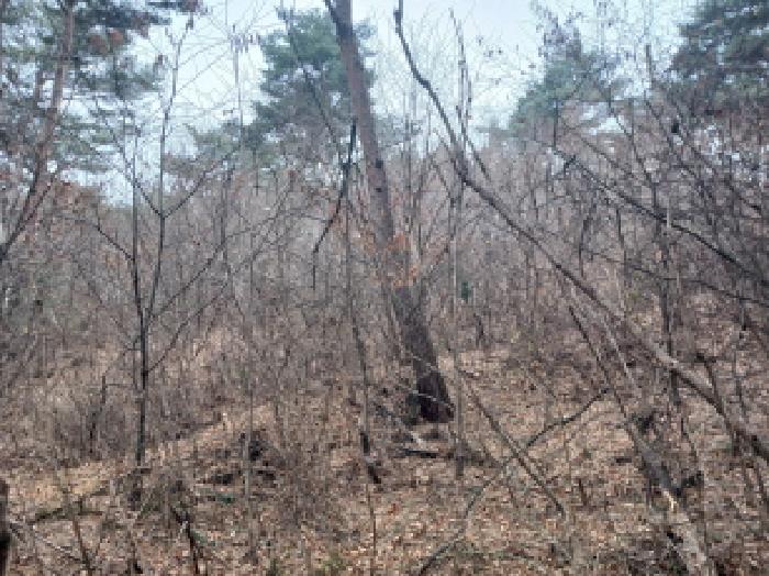 충남 당진시 석문면 임야 경매 물건 사진 3 · 2026타경50112